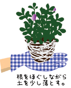 S