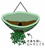 U