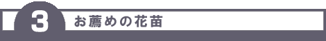E߂̉ԕc