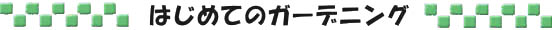 ͂߂ẴK[fjO